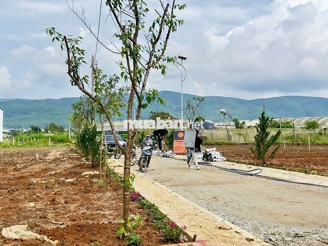 ĐẤT NGAY TT  ĐƠN DƯƠNG–HẠ TẦNG HOÀN THIỆN, ĐƯỜNG NHỰA 6M–CHỈ 630TR