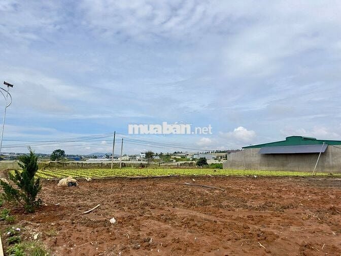 ĐẤT NGAY TT  ĐƠN DƯƠNG–HẠ TẦNG HOÀN THIỆN, ĐƯỜNG NHỰA 6M–CHỈ 630TR