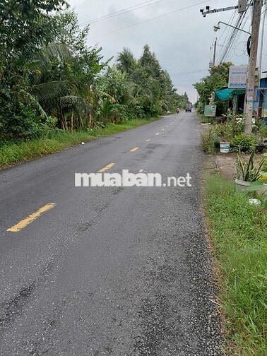 🌟 CHÍNH CHỦ GỬI BÁN ĐẤT GIÁ TỐT – CHÂU THÀNH LONG AN 🌟