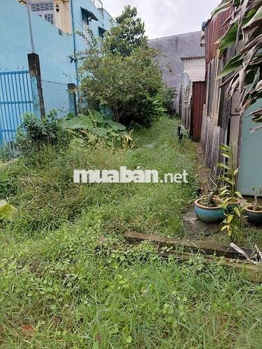 🌟 CHÍNH CHỦ GỬI BÁN ĐẤT GIÁ TỐT – CHÂU THÀNH LONG AN 🌟