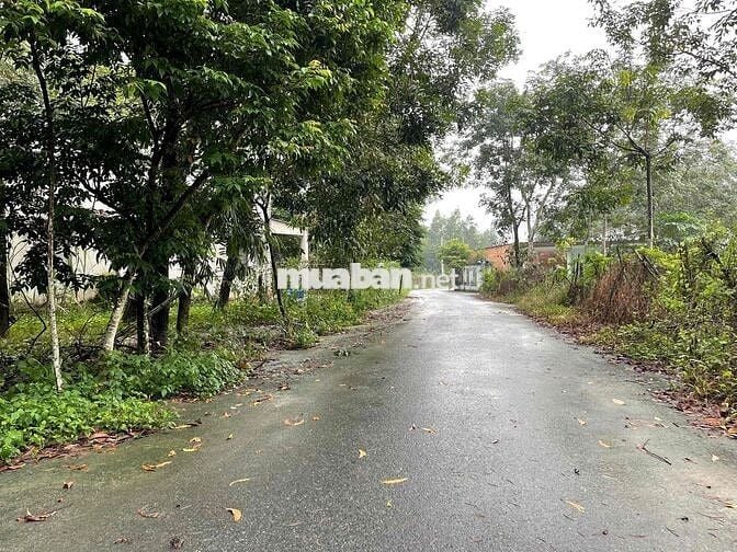 BÁN GẤP ĐẤT CHÁNH PHÚ HÒA – BẾN CÁT CHỈ TỪ 3TỶ1xx 10x63