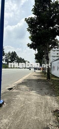 Nhà mặt tiền Lê Lợi, TPM, Bình Dương. 4 tầng, DT 5x24, giá 7 tỷ/căn