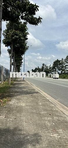 Nhà mặt tiền Lê Lợi, TPM, Bình Dương. 4 tầng, DT 5x24, giá 7 tỷ/căn