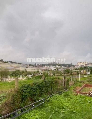 Bán Lô Đất 734M2 Gần KDL Thung Lũng Tình Yêu P8 Đà Lạt Chỉ 19tr9/m2