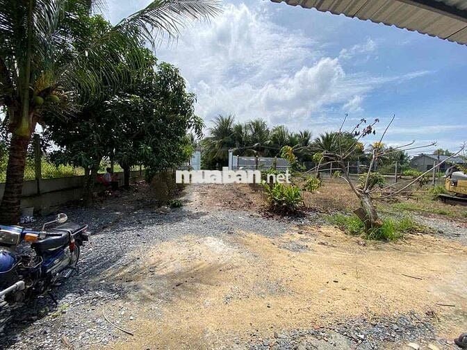 Nhà Vườn MT Sơn Lợi 1 , 648m2 shr , An Ninh Tây