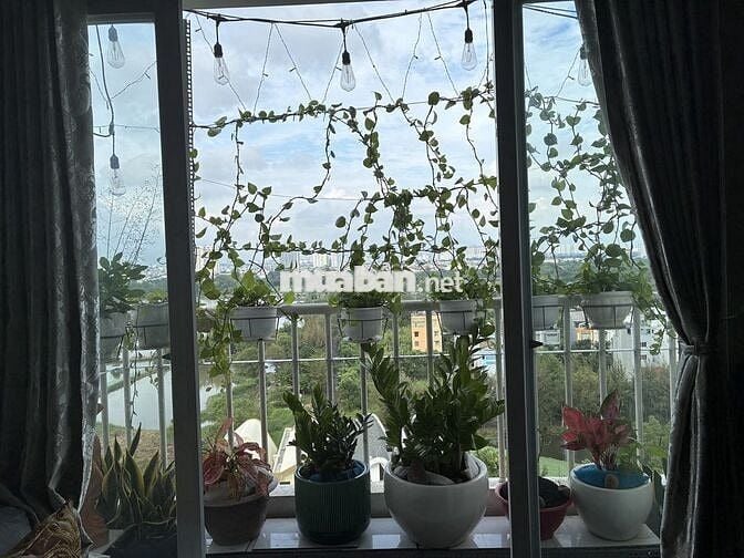 Chính chủ cần bán căn hộ Conic Garden 2PN, 1WC giá 2,050 tỷ (sổ hồng)