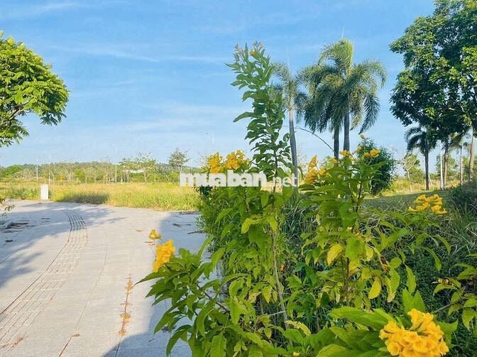 Nền BT đối sông BH new city.DT 238m2 Sổ sẵn Chỉ 18,5 triệu/m2 bao thuế