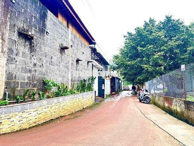 🛑🛑Đất trung tâm thành phố   hẻm 268 Nguyễn Công Trứ ,p Tự An 🛑🛑