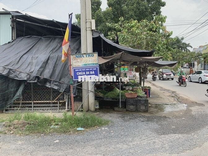 Đất mặt tiền đường nhựa 564 - Trung Lập Hạ: 147m2 (7x18). Giá 1 tỷ 350