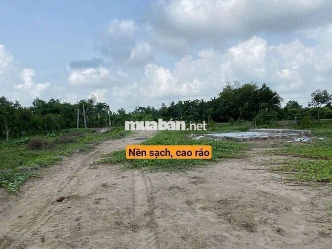 BÁN THỬA ĐẤT 1.419M² GẦN CHỢ&UBND XÃ TRƯỜNG LONG, PHONG ĐIỀN, CẦN THƠ