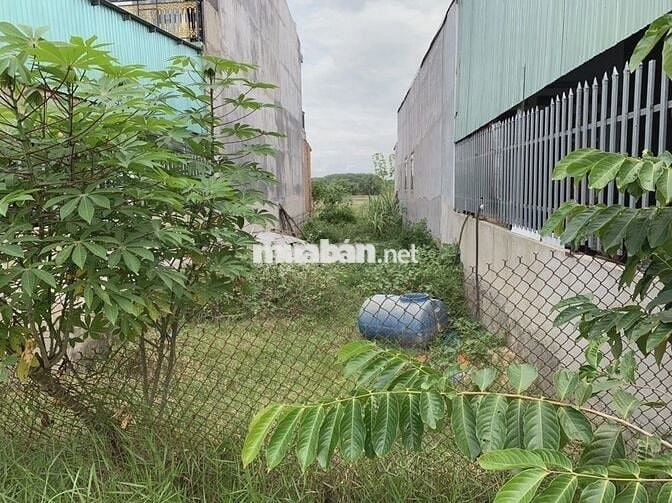 Đất mặt tiền đường nhựa 564 - Trung Lập Hạ: 147m2 (7x18). Giá 1 tỷ 350