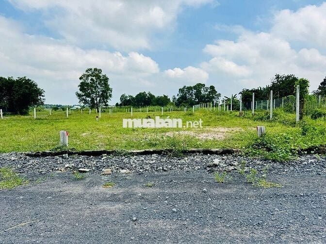 Đất ở khu dân cư hiện hữu - Phước Vĩnh An: 123m2 (5x25) . Giá 1 tỷ 350