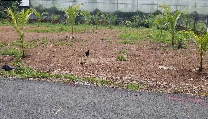 Em chính chủ cho thuê 164m2 Phước Sang - Phú Giáo