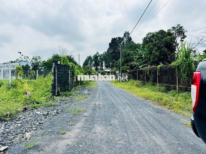 Đất ở khu dân cư hiện hữu - Phước Vĩnh An: 123m2 (5x25) . Giá 1 tỷ 350