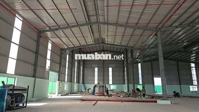 Xưởng cho thuê đa dạng DT giá 60k/m khu vực Đức Hòa Long An