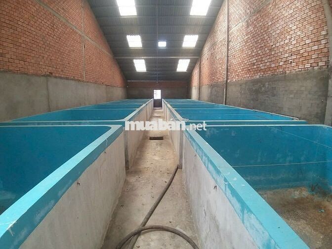 Bán đất Cần Đước Long An có sẵn nhà văn phòng, kho CÓ 1 PHẦN THỔ