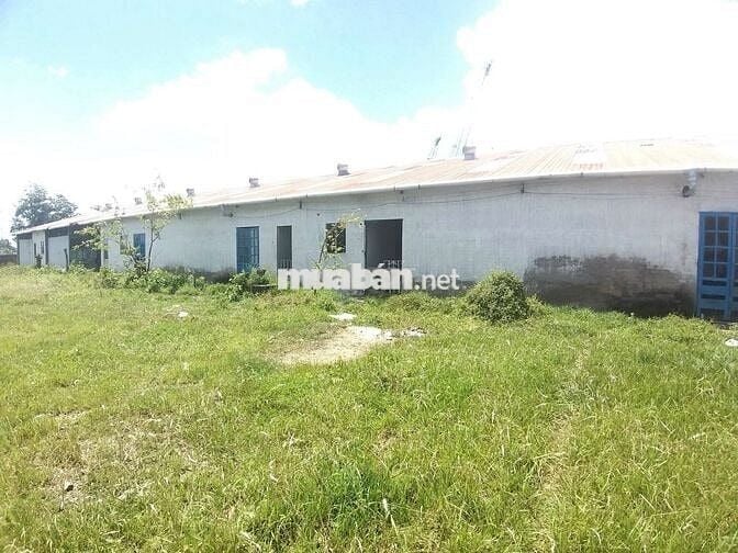 Bán đất Cần Đước Long An có sẵn nhà văn phòng, kho CÓ 1 PHẦN THỔ