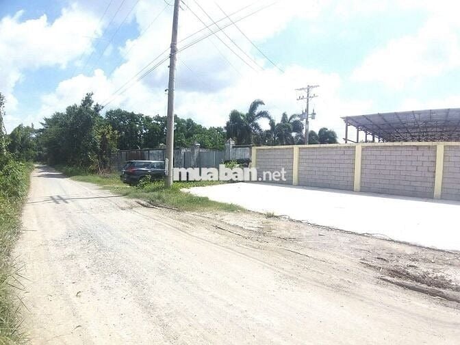 Bán đất Cần Đước Long An có sẵn nhà văn phòng, kho CÓ 1 PHẦN THỔ