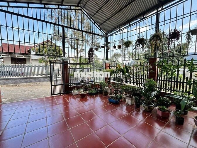 NHÀ MỚI TRUNG TÂM PHƯỜNG B'LAO - TP.BẢO LỘC - LÂM ĐỒNG DT 249M2 -6X41M