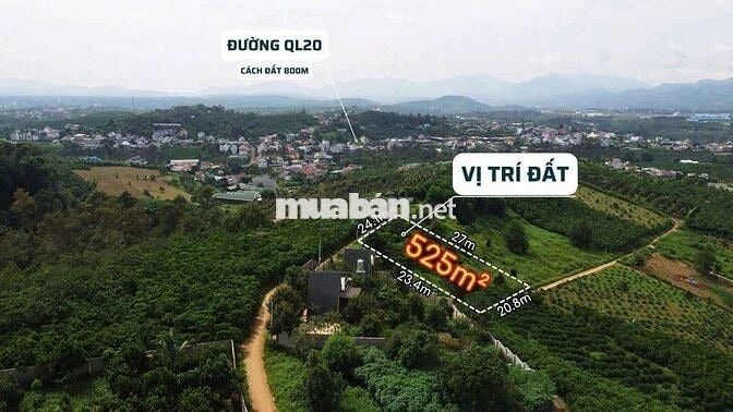SIÊU PHẨM VIEW NÚI – GIÁ NGỘP SÂU NHẤT P.1, BẢO LỘC