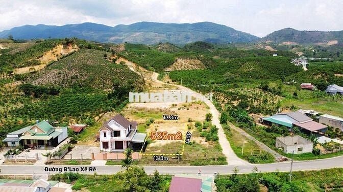 View săn mây sẵn thổ cư MT đường Blao sire Đại Lào 525m2 sẵn 400 TC