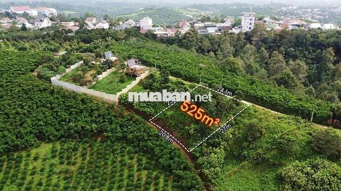 SIÊU PHẨM VIEW NÚI – GIÁ NGỘP SÂU NHẤT P.1, BẢO LỘC