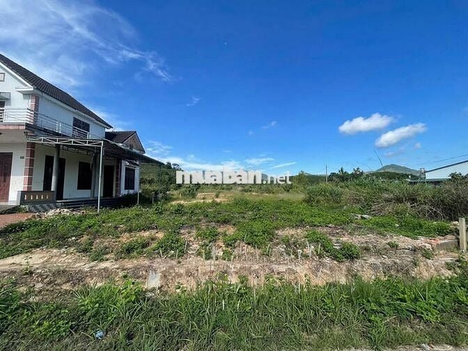 View săn mây sẵn thổ cư MT đường Blao sire Đại Lào 525m2 sẵn 400 TC