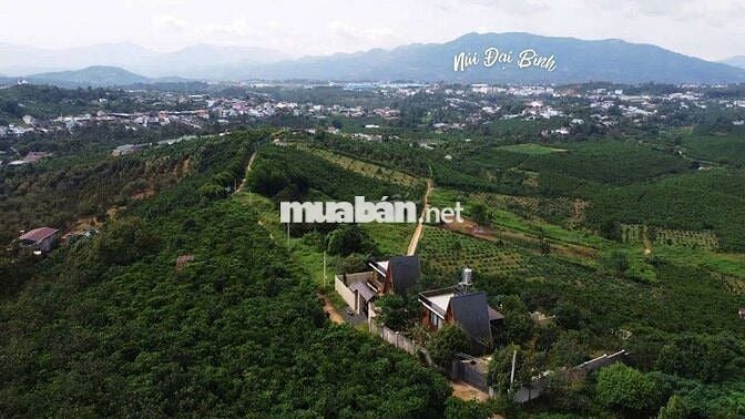 SIÊU PHẨM VIEW NÚI – GIÁ NGỘP SÂU NHẤT P.1, BẢO LỘC