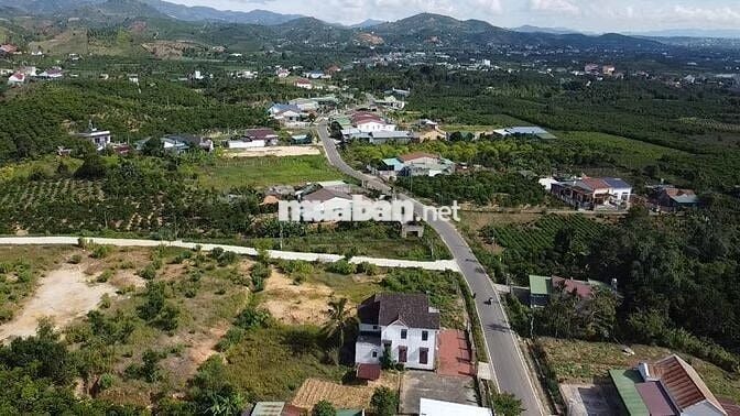 View săn mây sẵn thổ cư MT đường Blao sire Đại Lào 525m2 sẵn 400 TC