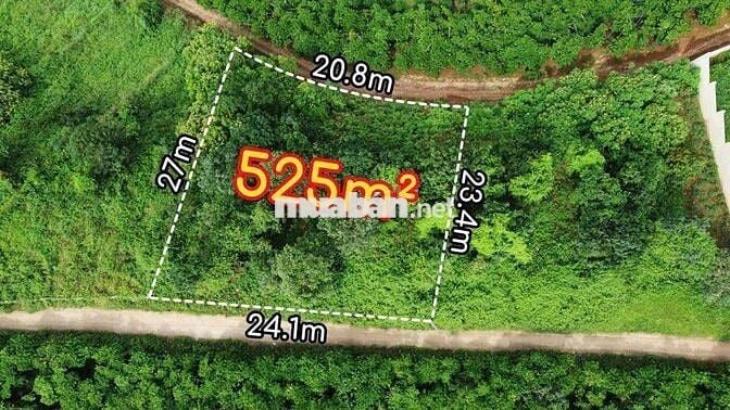 SIÊU PHẨM VIEW NÚI – GIÁ NGỘP SÂU NHẤT P.1, BẢO LỘC