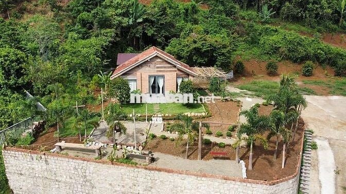 VIEW SĂN MÂY ĐỒI BÁT ÚP – MT B'LAO SIRE ĐẠI LÀO 3514M2 SẴN 300M THỔ CƯ
