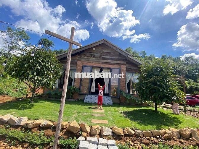 VIEW SĂN MÂY ĐỒI BÁT ÚP – MT B'LAO SIRE ĐẠI LÀO 3514M2 SẴN 300M THỔ CƯ