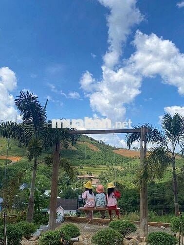 VIEW SĂN MÂY ĐỒI BÁT ÚP – MT B'LAO SIRE ĐẠI LÀO 3514M2 SẴN 300M THỔ CƯ