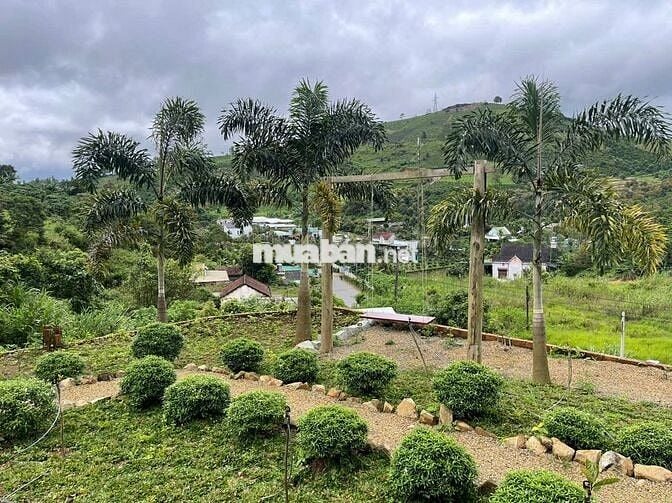 VIEW SĂN MÂY ĐỒI BÁT ÚP – MT B'LAO SIRE ĐẠI LÀO 3514M2 SẴN 300M THỔ CƯ