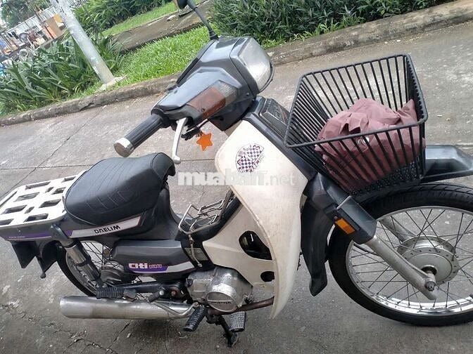 Citi thùng xám xi măng, bstp.