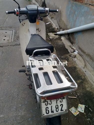 Citi thùng xám xi măng, bstp.