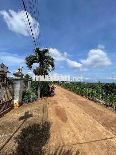 Mới sáng ra nhận tin: lô đất ngay trung tâm Tân Hội chỉ 680 triệu 😳 Kh