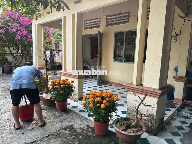 BÁN NHÀ CẠNH CHỢ LỘC HƯNG, Đ HL2, Gia Lộc, 890tr, (8x30)240 m2, SHR.