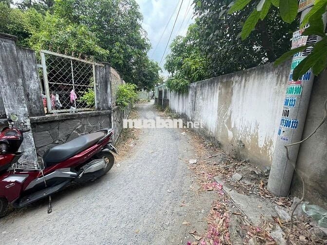 BÁN NHÀ CẠNH CHỢ LỘC HƯNG, Đ HL2, Gia Lộc, 890tr, (8x30)240 m2, SHR.