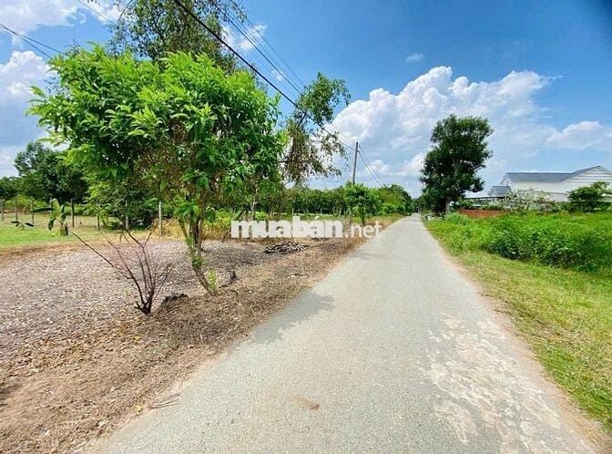 CHỦ NGỘP BÁN GẤP LÔ ĐẤT 300M2 GIÁ 530TRIỆU ĐƯỜNG DƯƠNG THỊ YÊM,THÁI MỸ