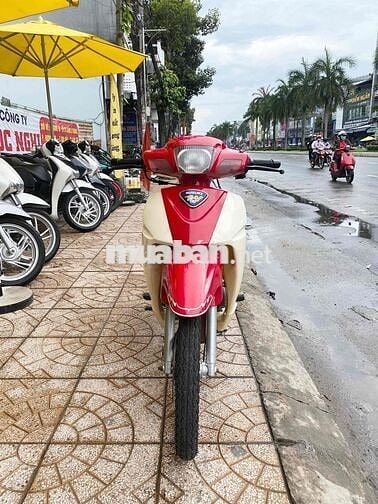 Sipo 99 đầu 31 HQCN xe chuẩn đồ zin theo xe nhiều🔥