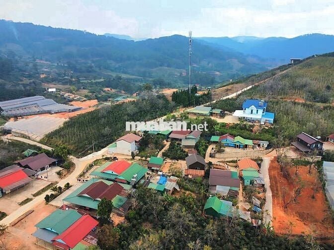 Cần tiền bán lỗ nặng lô 20x46m, 920m2 giá 300triệu Cách 10km đến ĐàLạt