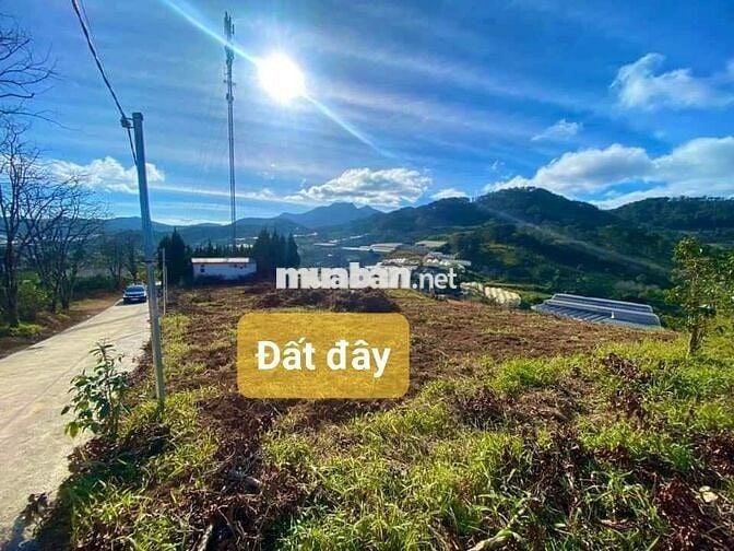 Cần tiền bán lỗ nặng lô 20x46m, 920m2 giá 300triệu Cách 10km đến ĐàLạt