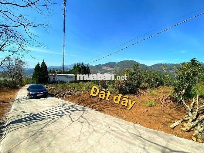 Cần tiền bán lỗ nặng lô 20x46m, 920m2 giá 300triệu Cách 10km đến ĐàLạt