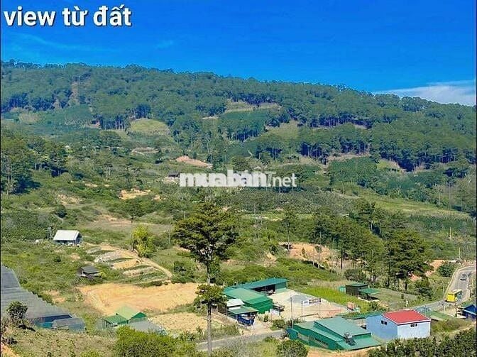 Cần tiền bán lỗ nặng lô 20x46m, 920m2 giá 300triệu Cách 10km đến ĐàLạt