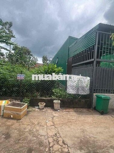 ✅BÁN LÔ ĐẤT HẺM TRUNG TÂM THÀNH PHỐ