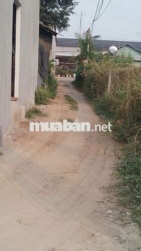 1019 M2 đất nông nghiệp 1/ Đường Láng Cẫm, Xã Đức Lập, Long An