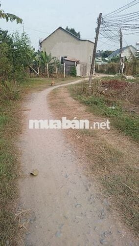 1019 M2 đất nông nghiệp 1/ Đường Láng Cẫm, Xã Đức Lập, Long An