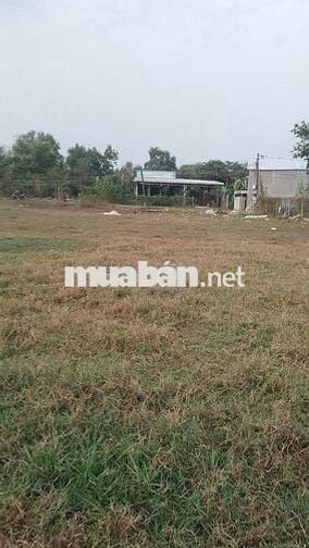 1019 M2 đất nông nghiệp 1/ Đường Láng Cẫm, Xã Đức Lập, Long An