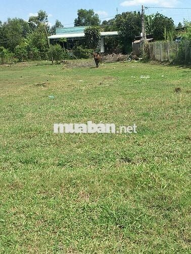 1019 M2 đất nông nghiệp 1/ Đường Láng Cẫm, Xã Đức Lập, Long An